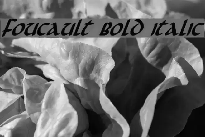 Foucault Bold Italic Fonte examples