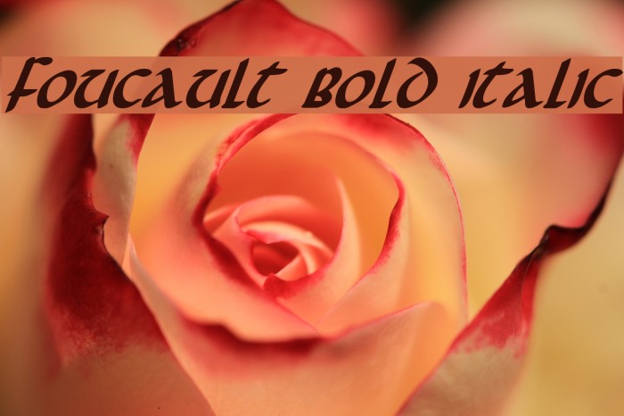 Foucault Bold Italic Font examples