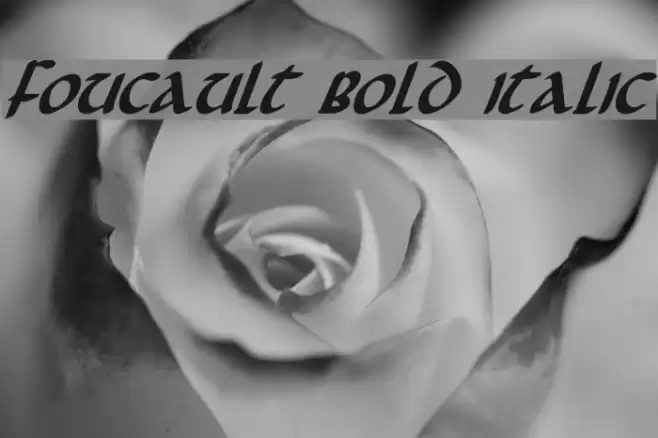 Foucault Bold Italic Fonte examples