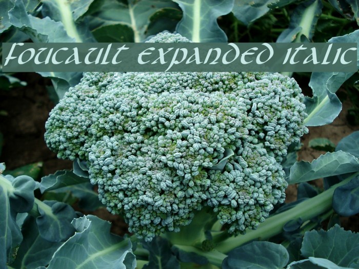 Foucault Expanded Italic Font examples
