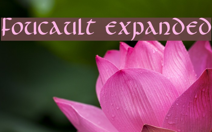 Foucault Expanded Font examples
