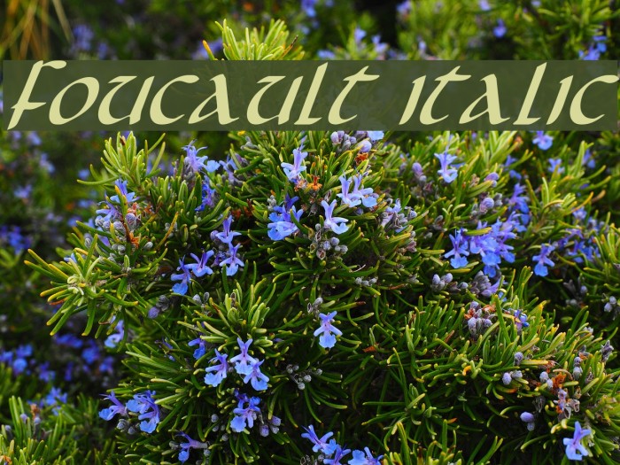 Foucault Italic Font examples