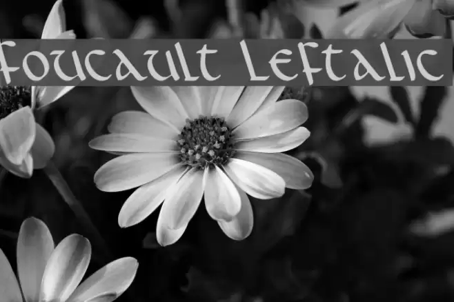 Foucault Leftalic Font examples