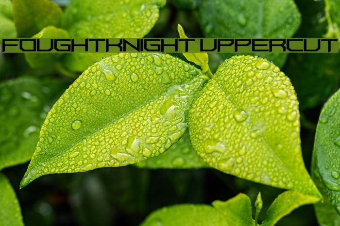 FoughtKnight UpperCut Font examples
