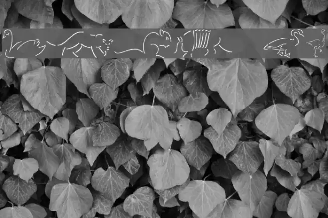 Founa BC Font examples