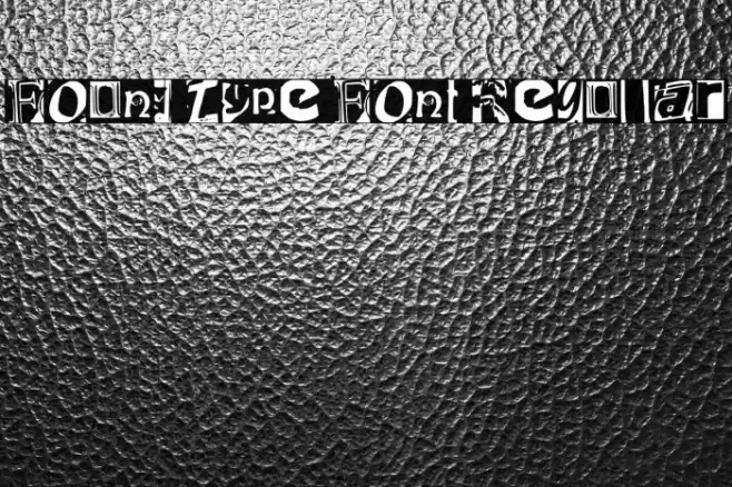 Found Type Font Regular Font examples