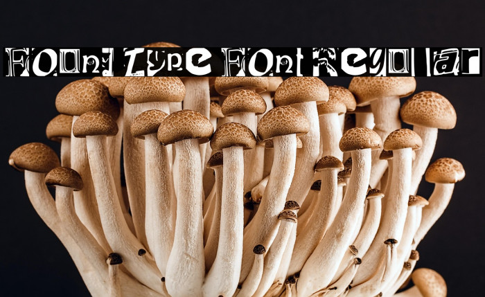Found Type Font Regular Example 2