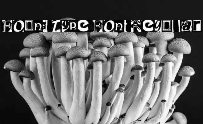 Found Type Font Regular Font examples