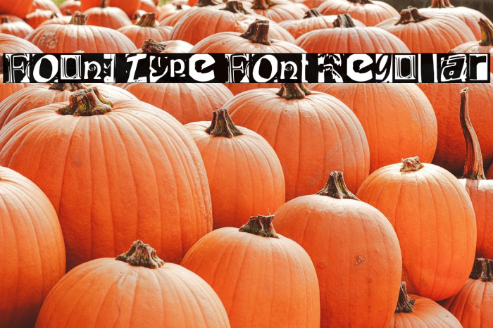 Found Type Font Regular Example 3