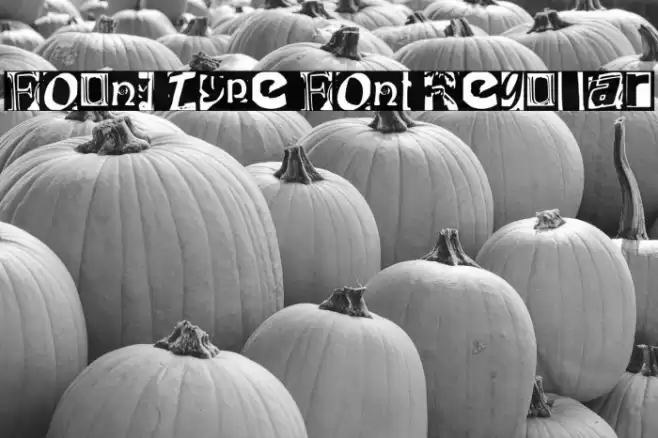 Found Type Font Regular Font examples