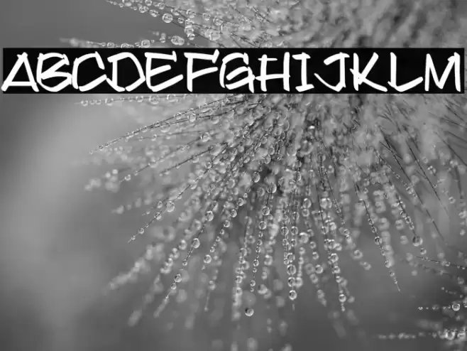 Found it on Dafont Font examples