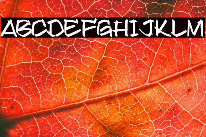 Found it on Dafont Example 3