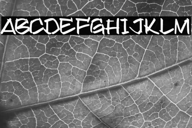 Found it on Dafont Font examples