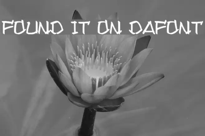 Found it on Dafont Font examples