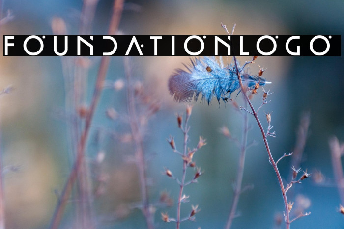 FoundationLogo Example 1
