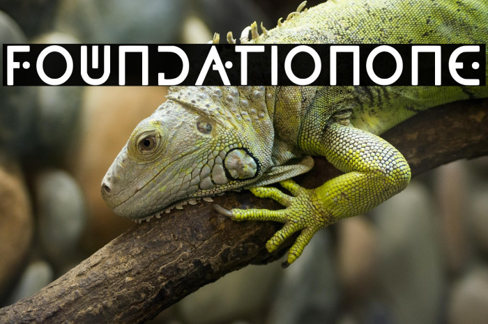 FoundationOne Example 3