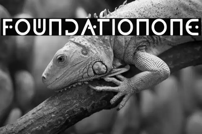 FoundationOne Font examples