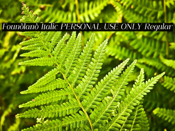 Foundland Italic PERSONAL USE ONLY Regular Example 1