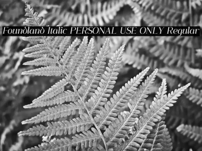 Foundland Italic PERSONAL USE ONLY Regular Font examples