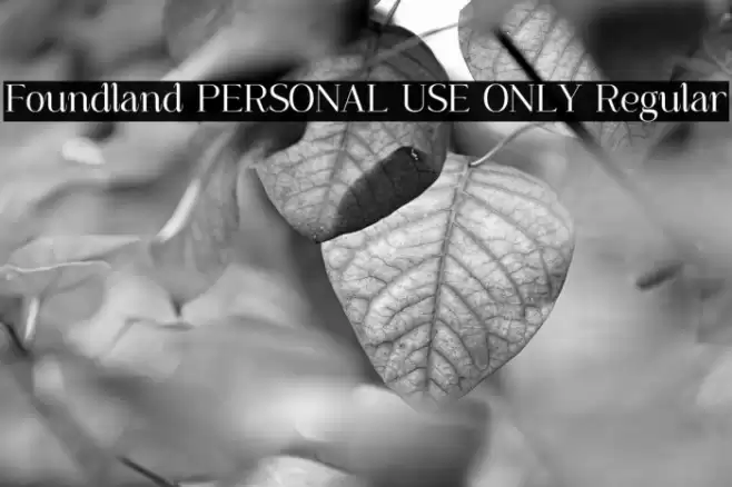 Foundland PERSONAL USE ONLY Regular Font examples