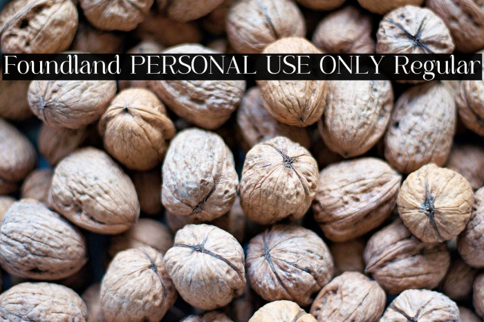 Foundland PERSONAL USE ONLY Regular Example 2