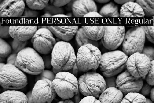 Foundland PERSONAL USE ONLY Regular Font examples