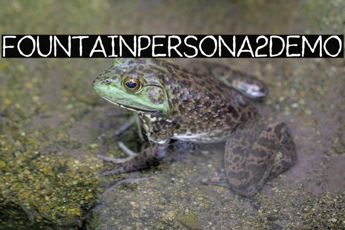 FountainPersona2Demo Example 2