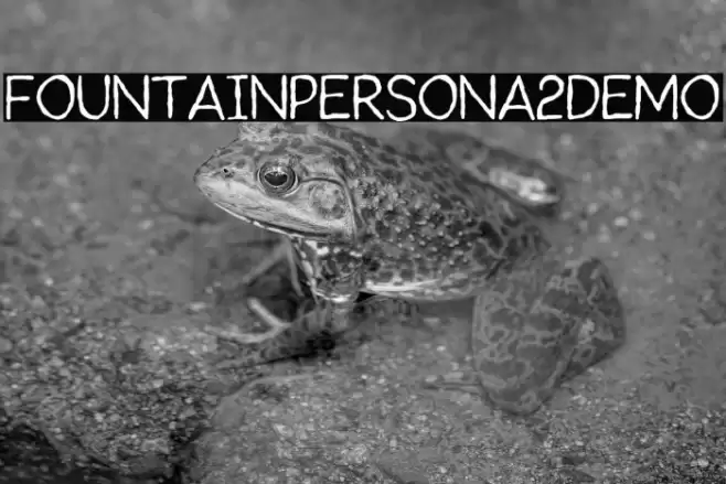 FountainPersona2Demo Font examples