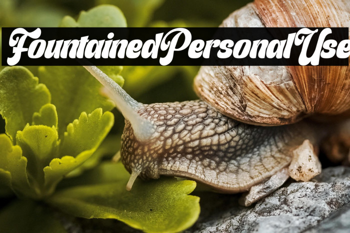 Fountained Personal Use Example 2