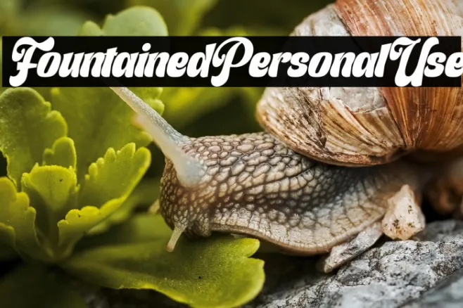 Fountained Personal Use Example 2