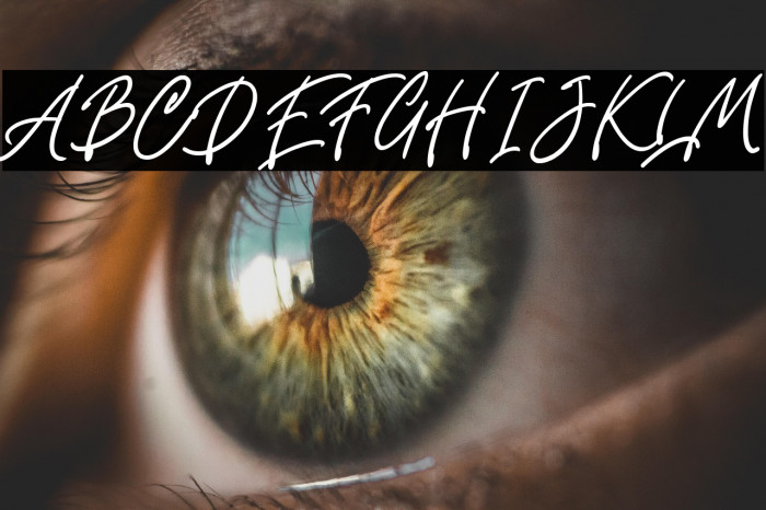 Fountastic Script Personal Use Example 2