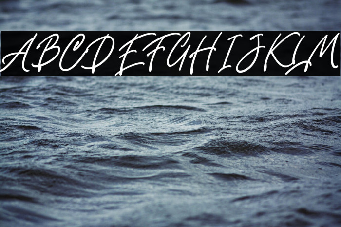 Fountastic Script Personal Use Example 3