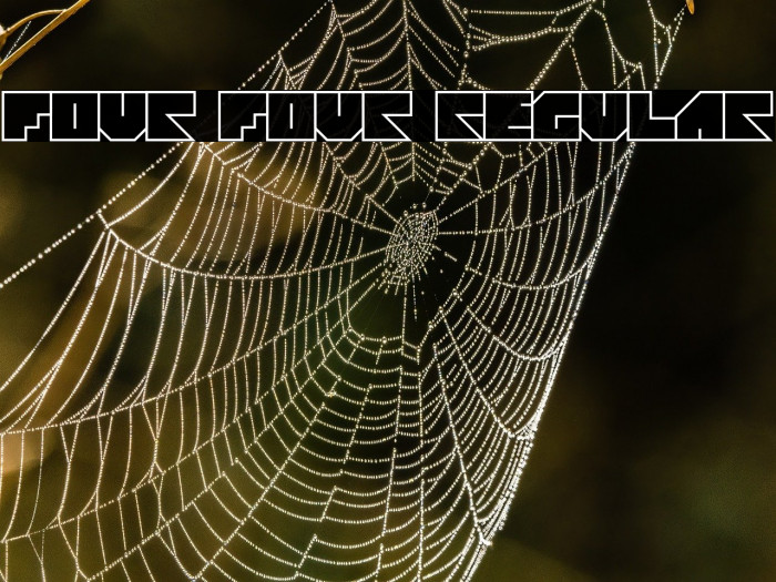 Four Four Regular Example 3