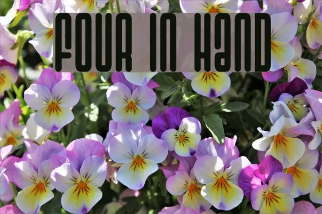 Four In Hand Example 1