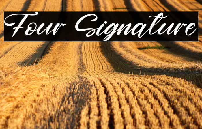 Four Signature Example 1