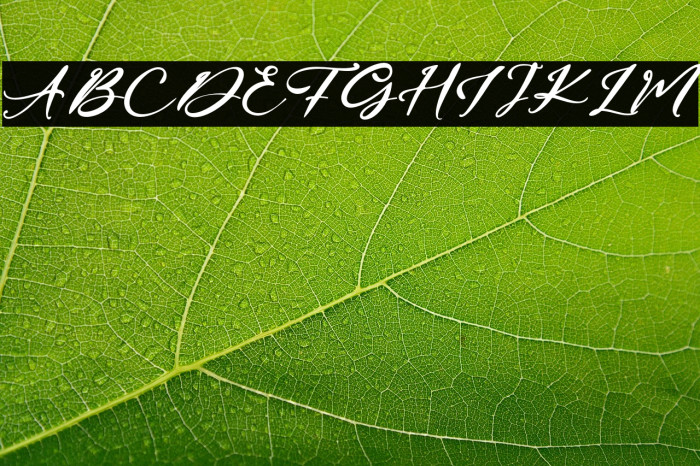 FourSignature Example 2