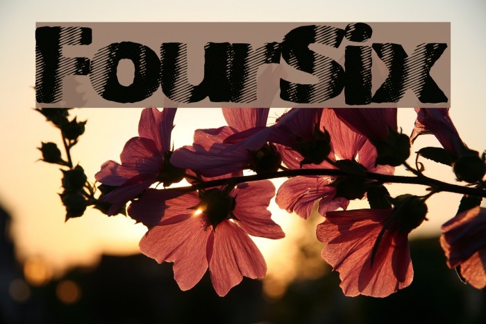 FourSix Font examples