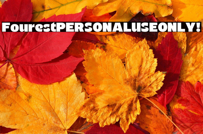 Fourest PERSONAL USE ONLY! Example 1