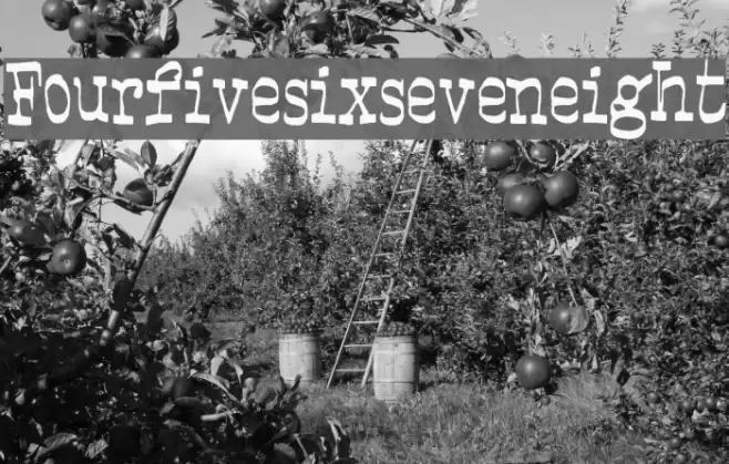 Fourfivesixseveneight Font examples