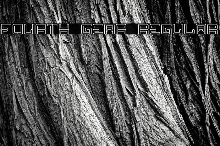 Fourth Gear Regular Example 2