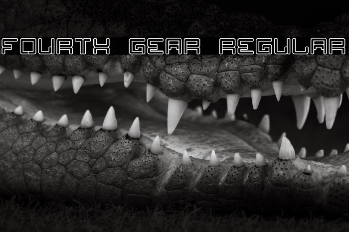 Fourth Gear Regular Example 3