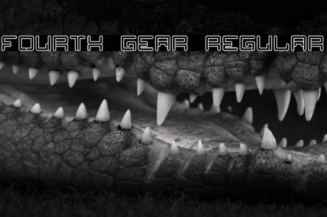 Fourth Gear Regular Example 3