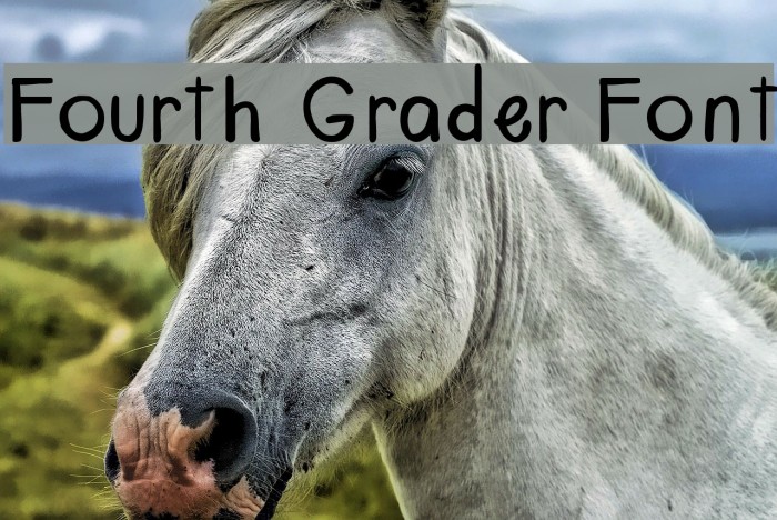 Fourth Grader Font Font examples