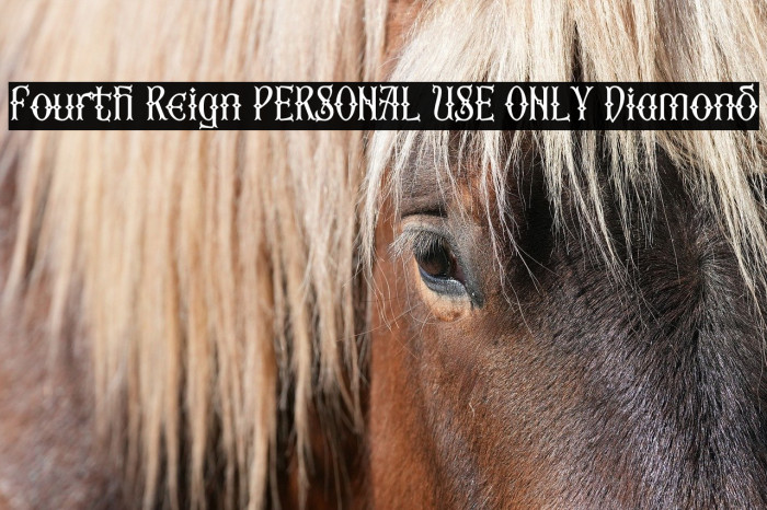 Fourth Reign PERSONAL USE ONLY Diamond Example 2