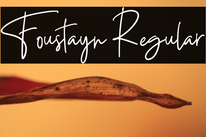 Foustayn Regular Example 2