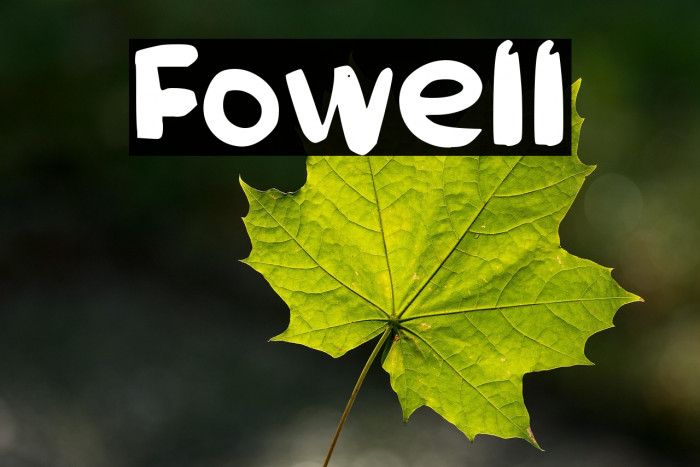 Fowell Example 3