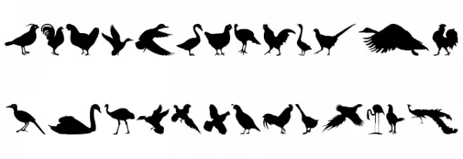FowlPlay Polices MAJUSCULES
