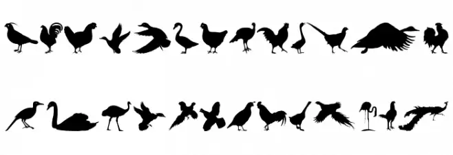 FowlPlay Caratteri MINUSCOLO