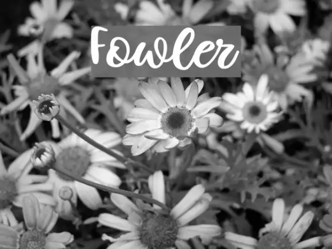 Fowler Font examples