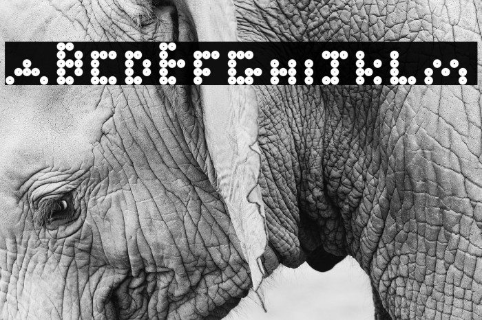 Fox Like Regular Font examples